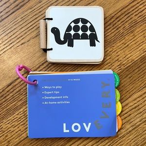 Lovevery 0-12 weeks play guide + wooden book